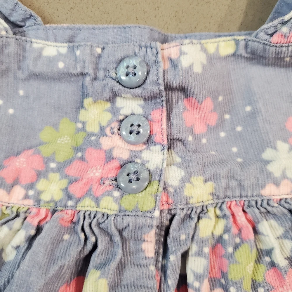 Gymboree Floral Corduroy Sleeveless Dress 2T